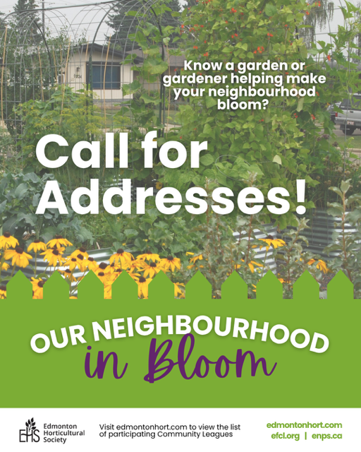 Our Neighbourhood in Bloom 2026